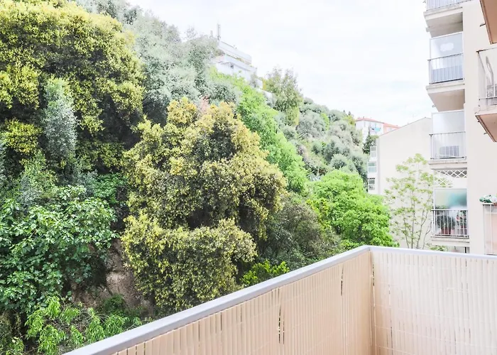 La Provence Проживание в семье *